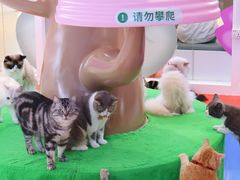 -PO PARK东方宝泰