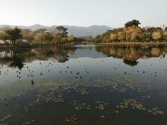 -星湖旅游景区七星岩