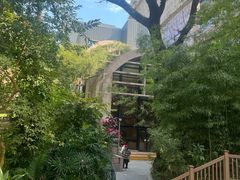 -香港大学