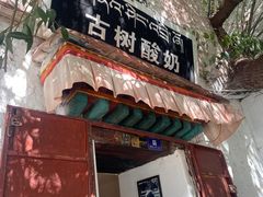-古树酸奶(八廓南街店)