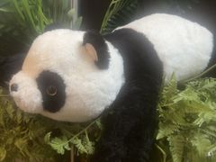 -茶去咖啡屋(武侯祠店)