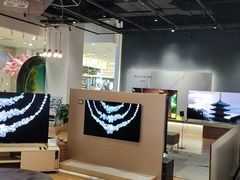 -Sony Store 索尼(来福士店)