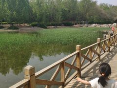 -云岗森林公园