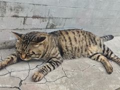 -正阳书局(西四南大街店)
