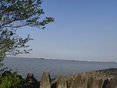 -上海滨江森林公园