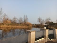 -眉山湿地公园(东坡区)