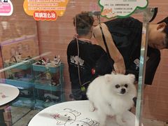 -FAELING PETS美天灵宠物(合生汇店)
