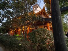 -台儿庄古城