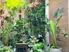 -王捌小院(红花坡店)