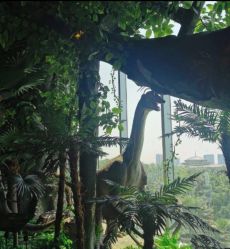 -恐龙探索乐园(磁器口店)