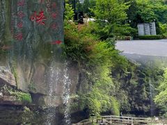 -碧峰峡风景区