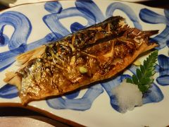 -山葵家·创意料理(EFC欧美广场店)