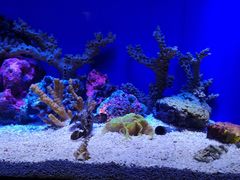 -上海海洋水族馆