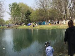 -长白岛森林公园