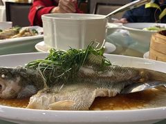 -国龙大酒店-中餐厅