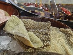 -谭记重庆老火锅(总店)
