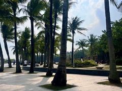 -深圳湾公园(南山区)
