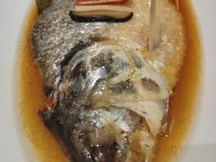 -蝶园·装修中(BFC外滩金融中心店)