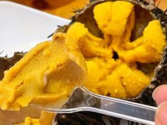 -海胆小馆(东北水饺·春柳店)