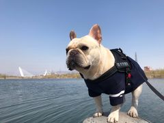 -永定河休闲森林公园