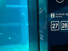-大阪海游馆