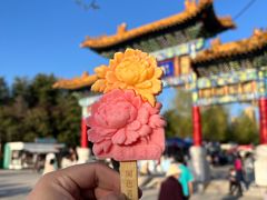 -曹州牡丹园