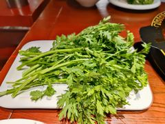 茼蒿-黄家码头老火锅(解放碑旗舰店)