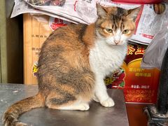 -非遗·爱西干面(小公园总店)