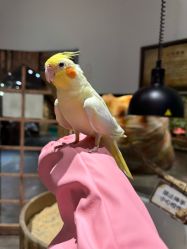 -Zoolung Zoolung动物主题公园(海信广场店)