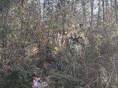 -青龙山国家森林公园
