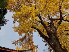 -平安桥天主教堂