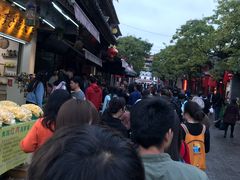 -眼镜粑粑