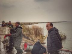 -哈素海