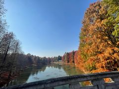 -上海海湾国家森林公园