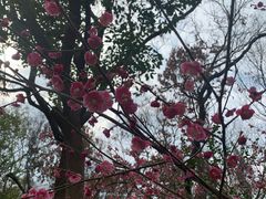 -南京市江宁方山
