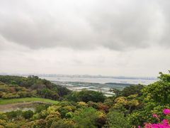 -广州莲花山旅游区