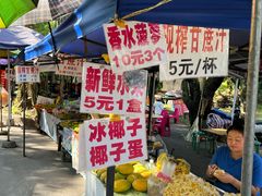 -西双版纳傣族园