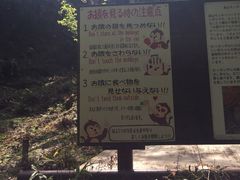 -岚山猴子公园