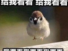 -青春飞扬网咖(剪刀石头布店)