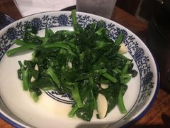 -Mountain House East Village 川山甲