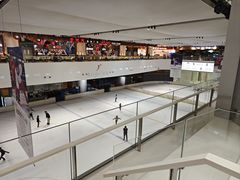 -TheRink大零溜冰场(IFS国金中心店)