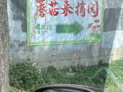 -庞各庄翠芳园西瓜蔬菜基地采摘园