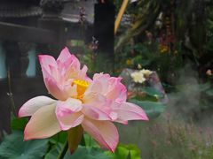 -钱王祠