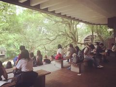 -香港大学