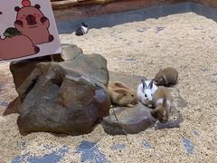 -顺德南宏海立方海洋公园