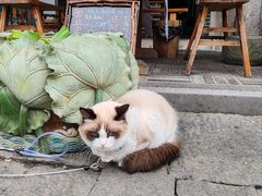 -郑三炮名小吃(公馆老街店)