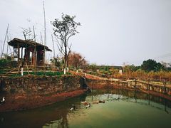 -驿舍·民國老营房院子私房菜(科学会堂店)