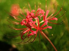 -白塘生态植物园