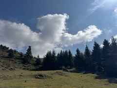 -芦芽山旅游度假区