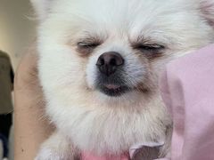 -怪兽屋·羊驼·猫咖·狗咖(俊华广场店)